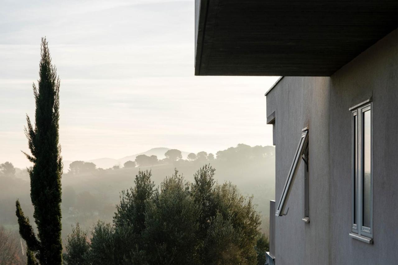 Villa Des Cathares Carcassonne Exterior foto