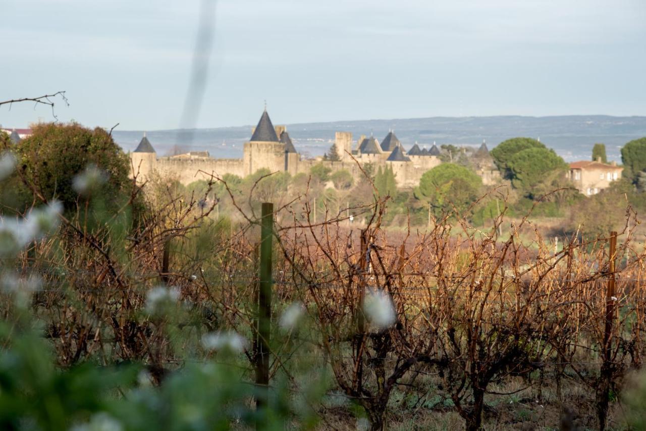 Villa Des Cathares Carcassonne Exterior foto